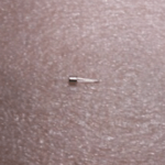 2n5181 Motorola Transistor Guaranteed Trusted Impochips